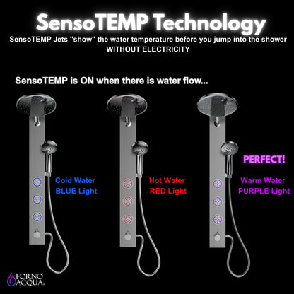 FORNO ACQUA Stainless Steel Shower Panel, 3 SensoTEMP LED Body Jets, 9 in. Rain Shower Head & 5-Function Handheld.  1.8GPM